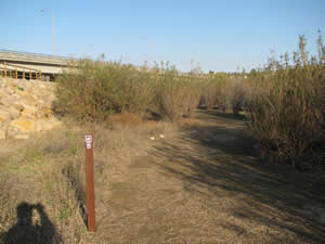 trail